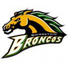 Boissevain Collegiate "Boissevain Broncos" Temporary Tattoo