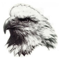 Glenella School "Eagles" Temporary Tattoo