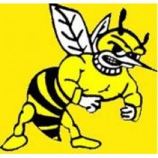 Hartney School "Hornets" Temporary Tattoo