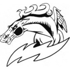 Lac Du Bonnet Senior "Chargers" Temporary Tattoo