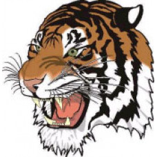 Treherne Collegiate "Tigers" Temporary Tattoo