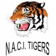 Neepawa Area Collegiate "Tigers" Temporary Tattoo