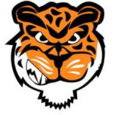 Swan Valley Regional Secondary "Tigers" Temporary Tattoo
