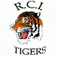 Reston School "Tigers" Temporary Tattoo