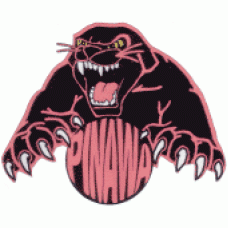 Pinawa Secondary School "Panthers" Temporary Tattoo