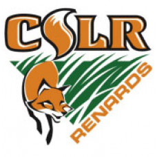 Centre Scolaire Léo-Rémillard  "CSLR Renards" Temporary Tattoo