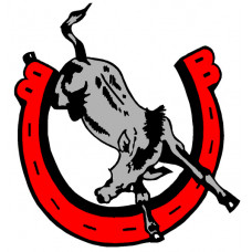 Bedford High School "Kicking Mules" Temporary Tattoo