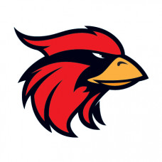 Cardinal Mascot Temporary Tattoo