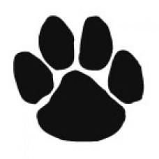 Black Paw Print Temporary Tattoo